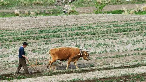 korea polnocna shutterstock_1417510241