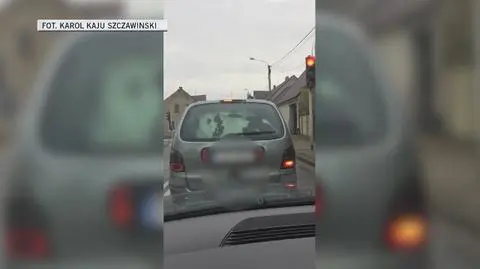 Cielak jechał w renault