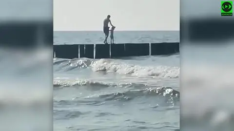 k24 pan z corka wchodzi na ostroge