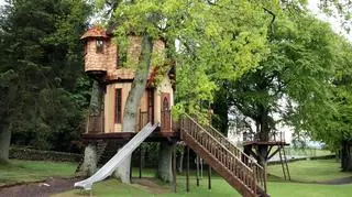 Treehouse - luksusowe domki na drzewie