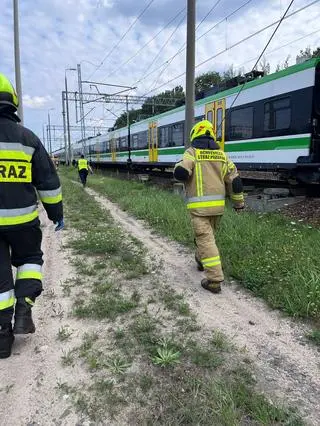 Pod Skierniewicami doszło do zderzenia dwóch pociągów