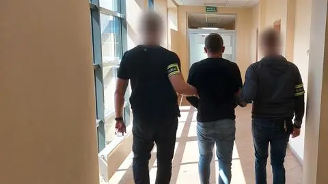 Zatrzymanemu grozi do 12 lat więzienia