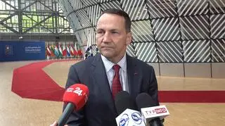 Radosław Sikorski w Brukseli