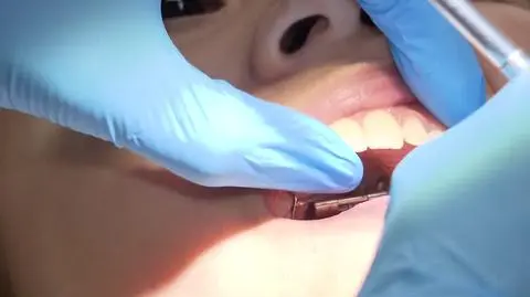 2508N375XRR PIS DNZ WILCZYNSKA