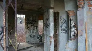 Park Bednarskiego w Krakowie przed remontem