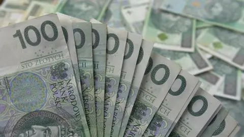 W tym roku wprowadzono lub podniesiono 17 podatków? Sprawdzamy słowa posłanki PSL