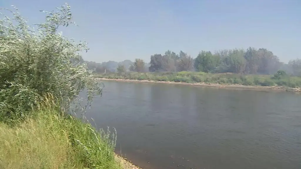 Pożar trwa nad Wartą