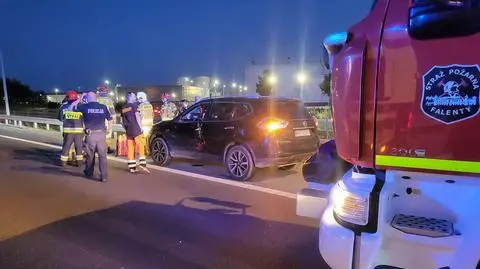 Autem uderzył w łosia. Do kierowcy przyleciał śmigłowiec, zwierzę nie przeżyło