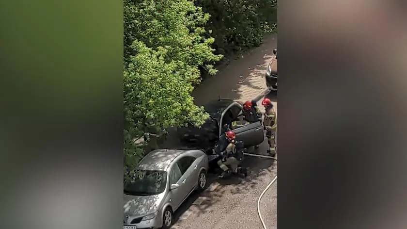 tvn24.pl