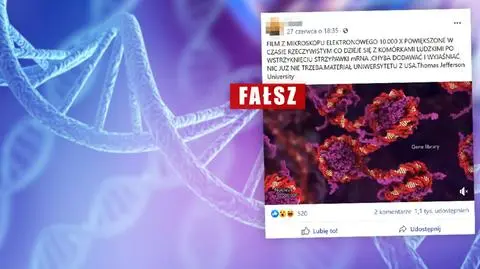 To dzieje się z komórkami po wstrzyknięciu szczepionki mRNA? Nie. To animacja i nie dotyczy szczepień