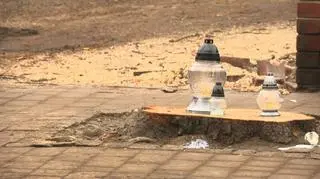 Wycięli trzy stuletnie kasztanowce w centrum Katowic