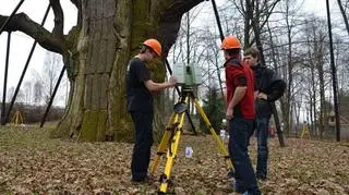 Dąb Bartek liczy 600 lat, a wedle tradycji jego wiek sięga aż 1200 lat