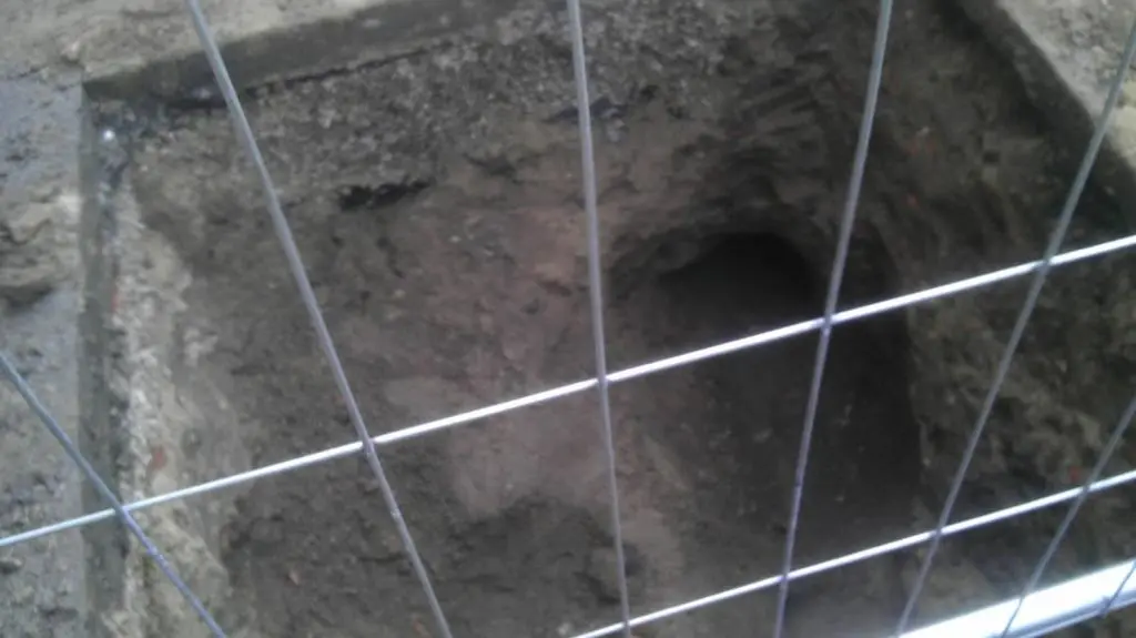Archeolodzy sprawdzą czy w pobliżu nie ma kolejnych kości