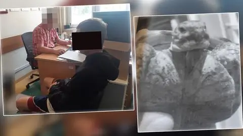 Mężczyzna odpowie za kradzież żółwia 