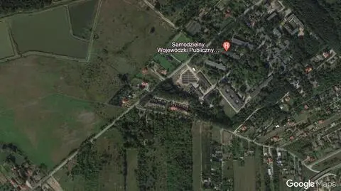 Wycinka 36 drzew w parku obok szpitala. Dyrektor winny, ale sprawa umorzona