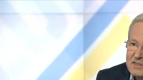  fragmentu Steinhoffa