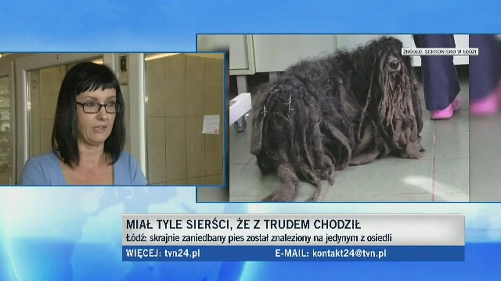 Policja namierzyła właściciela psa