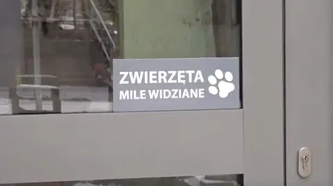 "Można przyjść z chomikiem, z papugą czy z kotem". Instytucje otwierają się na zwierzaki
