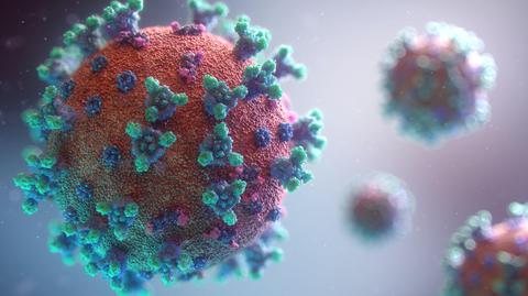 "Widzimy pewne dziwne rzeczy", "wariactwo". Amerykanie badają odpowiedź immunologiczną na koronawirusa 