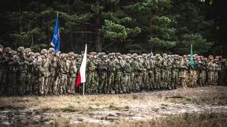 Ćwiczenie Puma-22