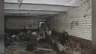 Interwencja Dolnośląskiego Inspektoratu Ochrony Zwierząt