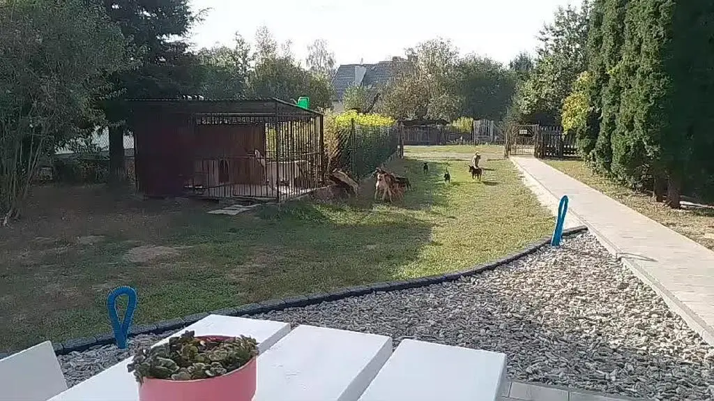 WhatsApp Video 2024-09-06 at 10