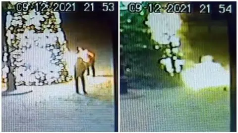 Podszedł z kanistrem, polał i podpalił miejską choinkę. 30-latek z zarzutami