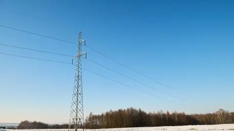 shutterstock_2282170465