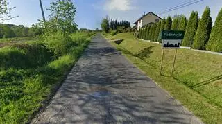 Podniebyle