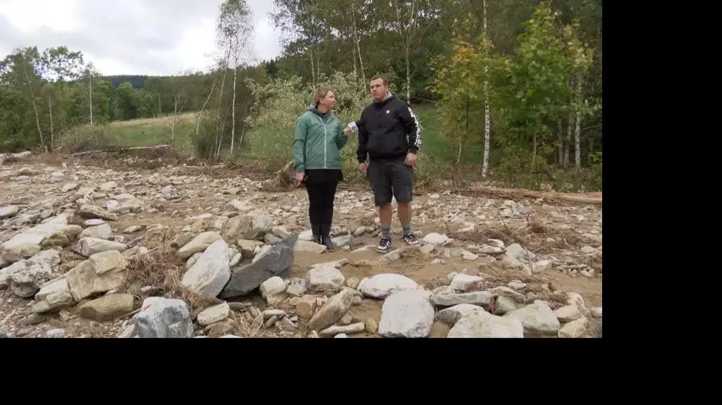 0110N355XR PIS DNZ WILCZYNSKA