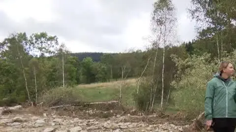 0110N355XR PIS DNZ WILCZYNSKA