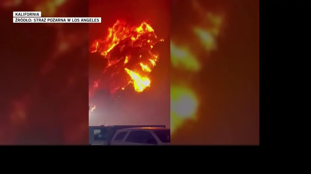 0901N034X WRONA SETY