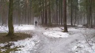 Żółte alarmy na północy kraju. IMGW ostrzega przed roztopami