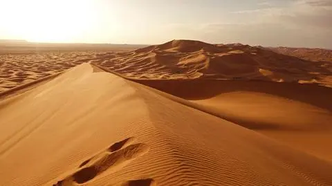 Sahara