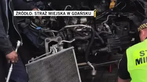 Straż Miejska w Gdańsku