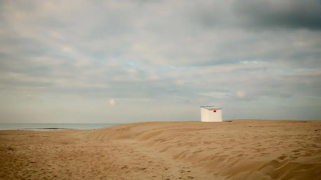 Dziesiątki martwych rekinów na europejskiej plaży. Co się z nimi stało?