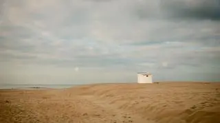 Dziesiątki martwych rekinów na europejskiej plaży. Co się z nimi stało?