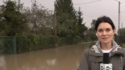 ingest-02_20240916093909(10432)_aac