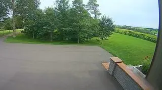 Kamera zarejestrowała moment uderzenia meteorytu w chodnik