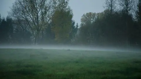 Jesienna aura, mgła