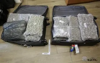 Brytyjczycy próbowali przemycić do Polski ponad 200 kilogramów narkotyków