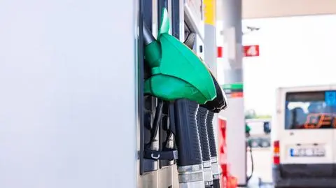 shutterstock_2527150573