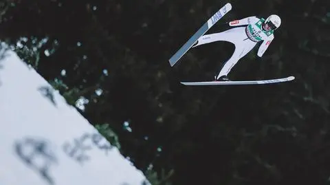 Paradoks skoków na przykładzie Żyły