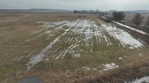 Klatka kluczowa-246079