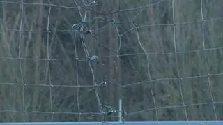 Na trasie S8 doszło do ataku na kibiców z Hiszpanii