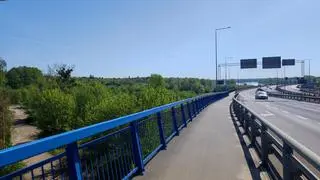 Toruń. Wieżowiec ma powstać na obszarze chronionym Natura 2000