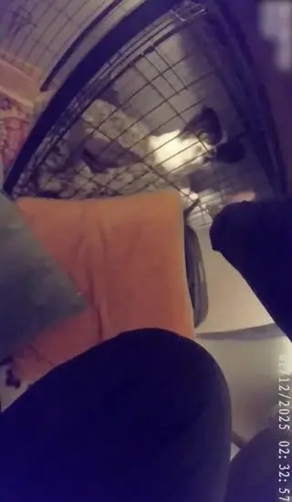 Policjanci wynieśli z jednego z mieszkań przestraszonego psa