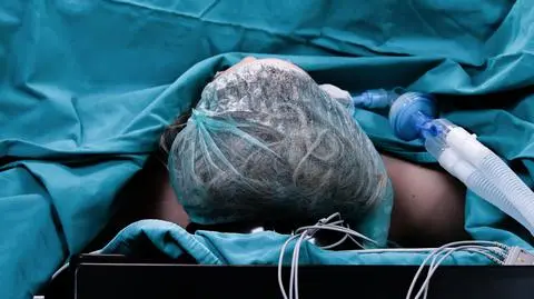 shutterstock_2595701655_1