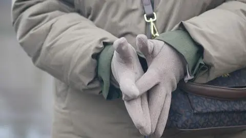 shutterstock_2591278817