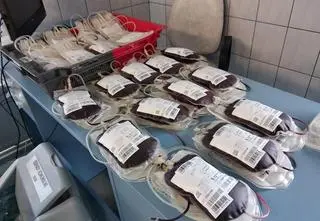 "Choinka dla życia". Drzewka w zamian za oddaną krew